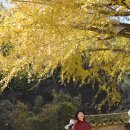 함안향교 이미지