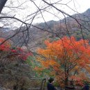 지리산역사관 티스토리