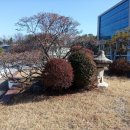 청구공인중개사사무소 이미지