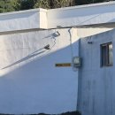 고진이가 | [여수] 화양면 한옥 독채 감성숙소, 프라이빗 자쿠지, 수영장, 촌캉스까지 고루고루 갖춘 고진이가