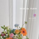 앙주드플레르