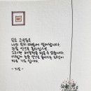 월간정토