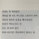 캐일리 이미지