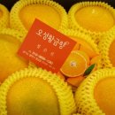 오성꽃농장 이미지