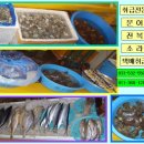 묵호수산 Daum카페