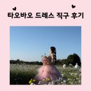 셀프 웨딩촬영 타오바오 드레스 직구 후기