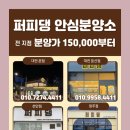 퍼피댕 강아지분양 안심분양소 청주점 말티푸미니비숑토이푸들 이미지