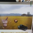 본량중학교 이미지