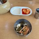 +용인 기흥 밥집 정통국수집 솔직후기