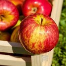 정화슈퍼 이미지