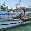 득량만 뉴시스