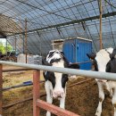 계양축산 이미지