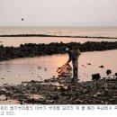 아름드리펜션.민박
