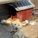 SM모터스 | 카트리스로 예약해서 다녀온 자동차 정비 후기 (광고❌)