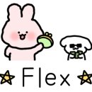 스펀지 포항점 이미지