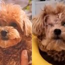 원유치원 이미지