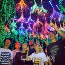 무주반딧불투어 이미지