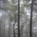 단양한우 목장 이미지