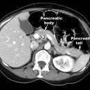 조영메디칼 이미지