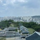 어번 | 서울 신라호텔 호캉스 후기｜객실부터 어번아일랜드까지 아이와 함께 즐긴 완벽한 하루