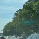 현충원로2 이미지