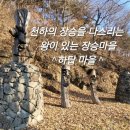 하탑 이미지