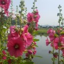 경안천누리길 이미지