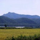 마지2리 이미지