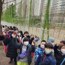 걸음동무학원 | 관산동학원 [걸음동무학원] 2023' 겨울캠프 후기