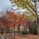 인천소양초 이미지