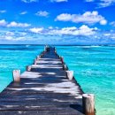 새로운 꿈 이미지