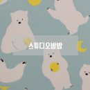 북극곰스튜디오 이미지