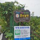 김문수농장 이미지