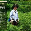 절골농장 이미지