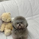 멜로디펍스 이미지