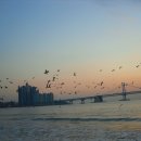 바다해오름 이미지