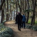 장항가든 이미지