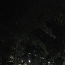큰못공원 티스토리