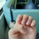 여의도반하다 | 여의도반하다 이달의 아트 네일 후기