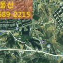 금탑 카센타 이미지