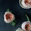 안경이야기 이미지