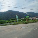 기린종합장식