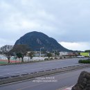 (주)블랙피그