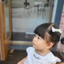 메송프로방스 이미지