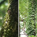 송담3로 이미지