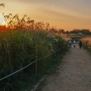 하늘공원 이미지