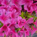 황령산레포츠공원 게이트볼장 이미지