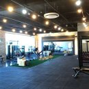 머스트바디 이미지