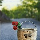 예쁜하루 이미지
