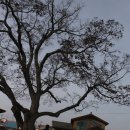 발산보건진료소 이미지